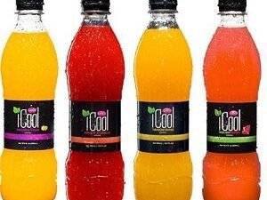 ICool Drink 500ml